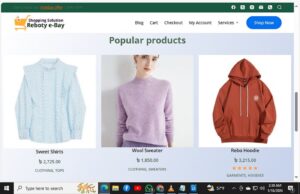 Shopping_Solution_Reboty_e-Bay-new-2