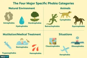 Categories of Phobias